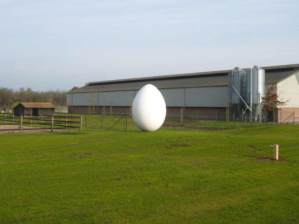 foto Large egg