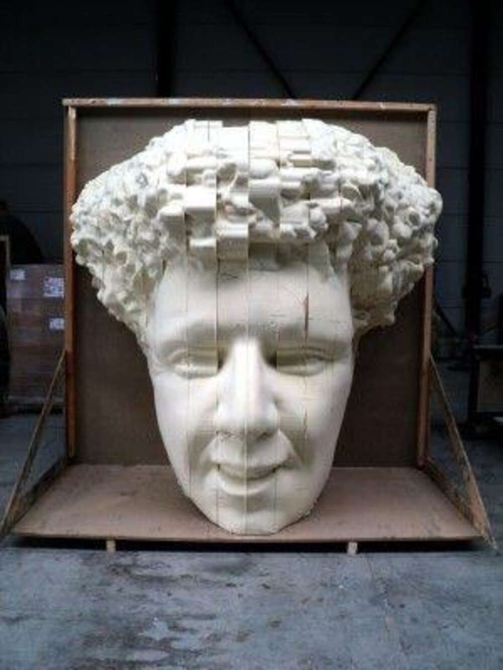 foto Giant 3D head Jochem Myjer