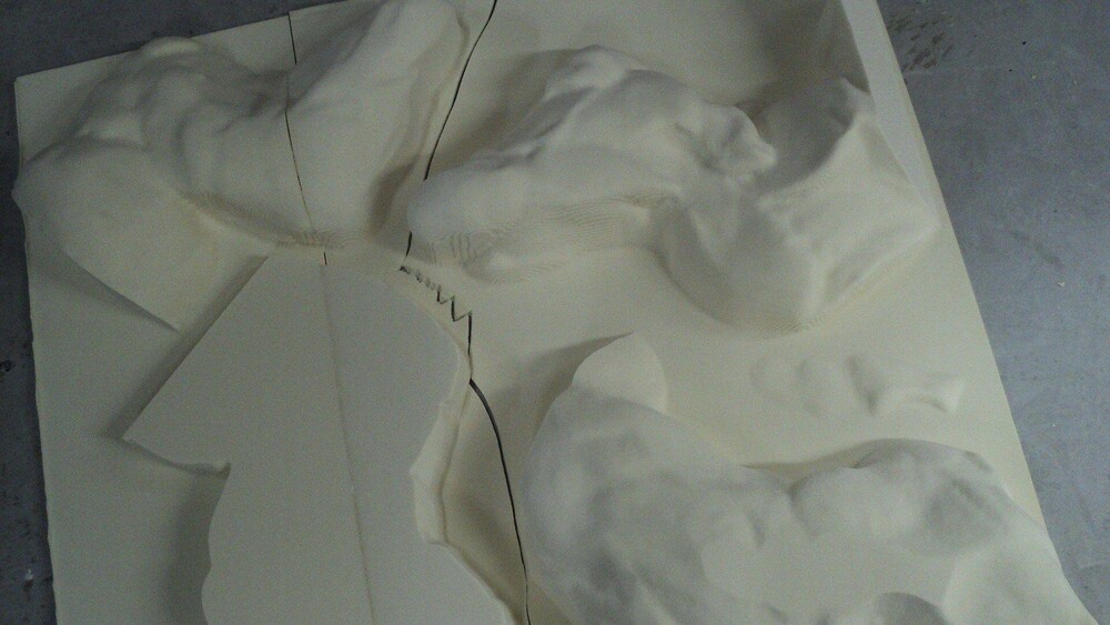 Blowups maakte van een klein ontwerp van kunstwerk Aapenboom van Erik Buijs in zijn opdracht een grote versie. Met een 3D scanner werd een digitaal 3D model gemaakt waarmee de 3D freesmachine aangestuurd kon worden. Een natuurgetrouwe reproductie in polyester werd door Blowups gemaakt.