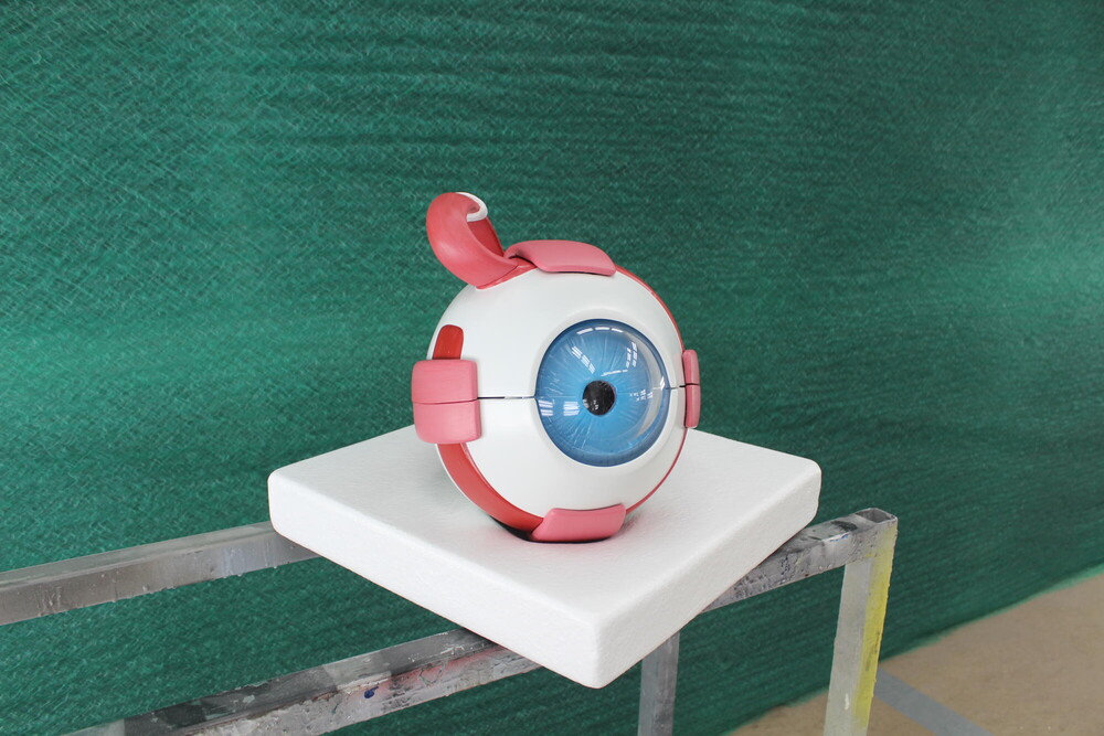 Polyester vergroting van een anatomisch model van een oog. 3D-object in opdracht van Bartimeus.