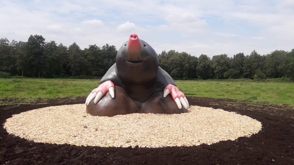 foto Reuze mol speelobject in het Loetbos