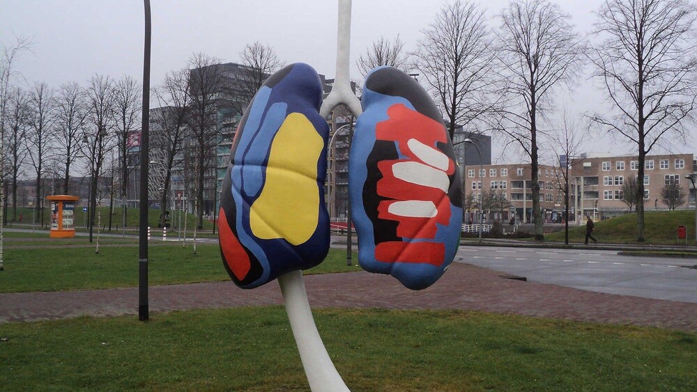 foto Menno Baars - styrofoam lungs