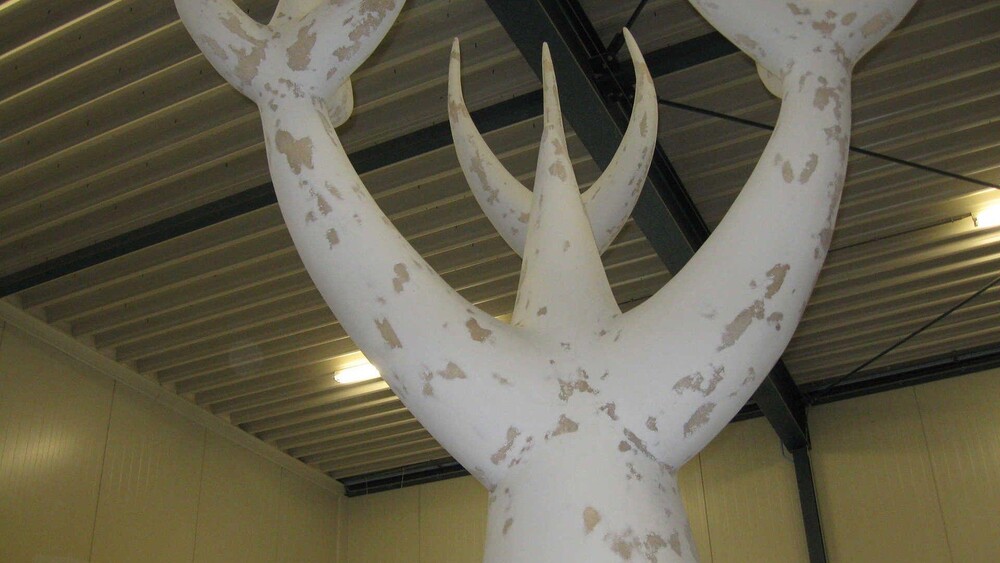Kunstwerken - Voor Gonda van der Zwaag werd deze hoornboom gerealiseerd door Blowups