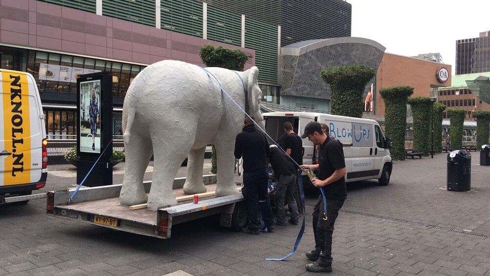 Blowups vervaardigde een polyester olifant voor het Rotterdamse filiaal van Hudson's Bay. De eyecatcher staat op de derde verdieping van het filiaal. Blowups droeg ook zorg voor het transport en de plaatsing van de enorme olifant.