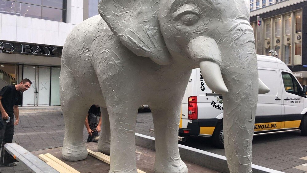 Blowups vervaardigde een polyester olifant voor het Rotterdamse filiaal van Hudson's Bay. De eyecatcher staat op de derde verdieping van het filiaal. Blowups droeg ook zorg voor het transport en de plaatsing van de enorme olifant.