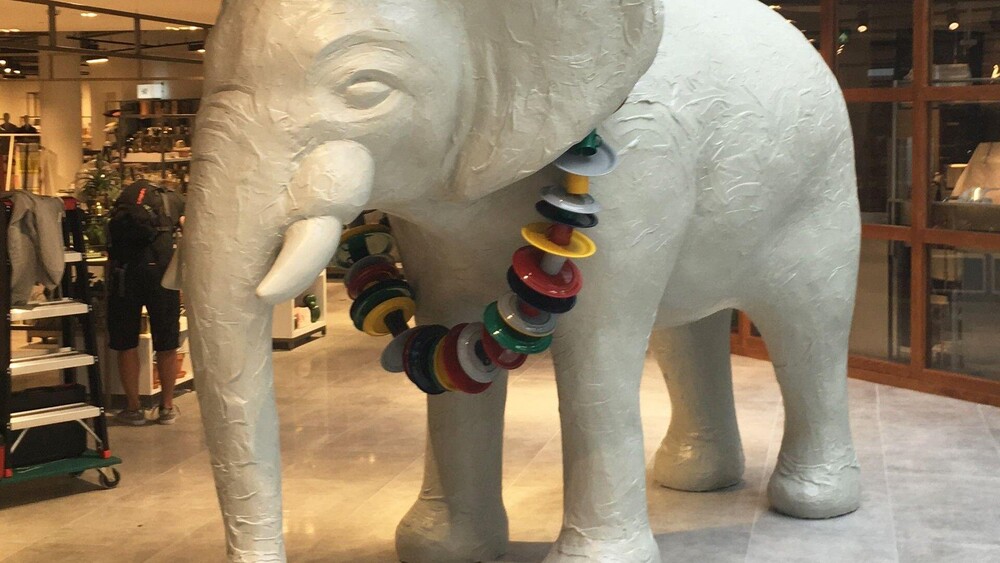 Blowups vervaardigde een polyester olifant voor het Rotterdamse filiaal van Hudson's Bay. De eyecatcher staat op de derde verdieping van het filiaal. Blowups droeg ook zorg voor het transport en de plaatsing van de enorme olifant.