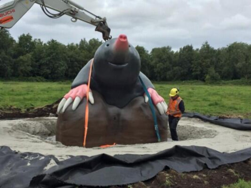 De reuze mol in het Loetbos is een speciaal op maat gemaakt speelobject in opdracht van Groenalliantie Midden Holland. Het grote polyester kunst/speelobject werd gemaakt in samenwerking met Bureau RIS, ontwerp- en adviesbureau voor speelnatuur.