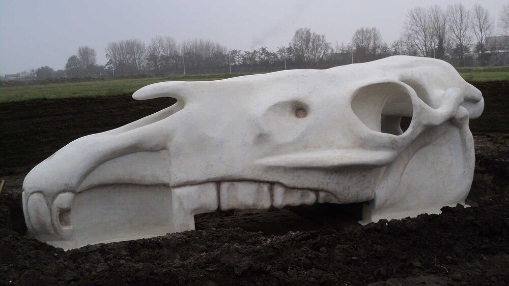 foto Gemeente Den Haag Paardenschedel