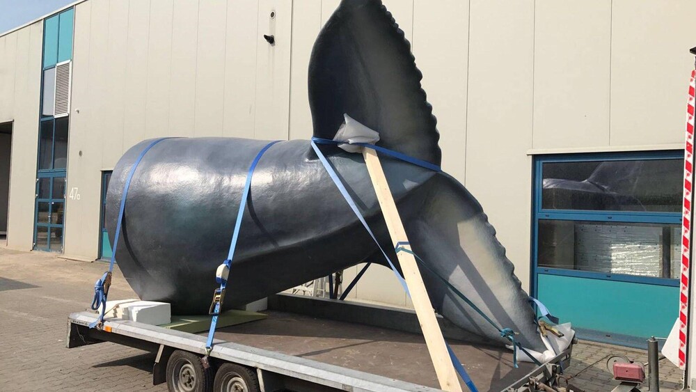 Walvisstaart IJ Amsterdam voor Het Scheepvaartmuseum in Amsterdam. Blowups mocht de staart van de walvis maken en plaatsen. De walvisstaart dient als eyecatcher voor de Walvisweken van Het Scheepvaartmuseum.