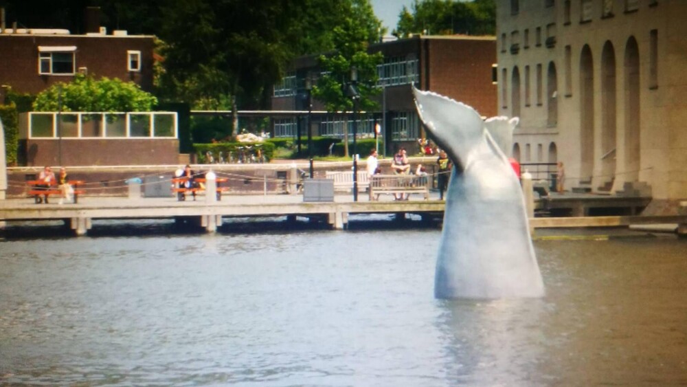 Walvisstaart IJ Amsterdam voor Het Scheepvaartmuseum in Amsterdam. Blowups mocht de staart van de walvis maken en plaatsen. De walvisstaart dient als eyecatcher voor de Walvisweken van Het Scheepvaartmuseum.