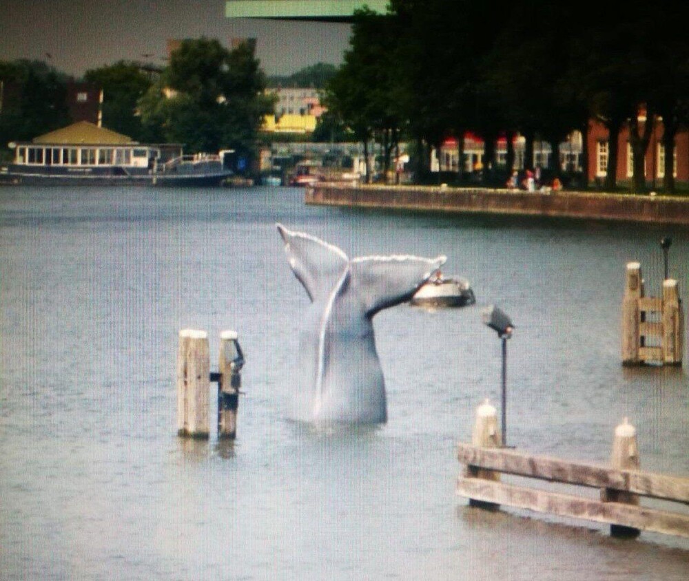 Walvisstaart IJ Amsterdam voor Het Scheepvaartmuseum in Amsterdam. Blowups mocht de staart van de walvis maken en plaatsen. De walvisstaart dient als eyecatcher voor de Walvisweken van Het Scheepvaartmuseum.