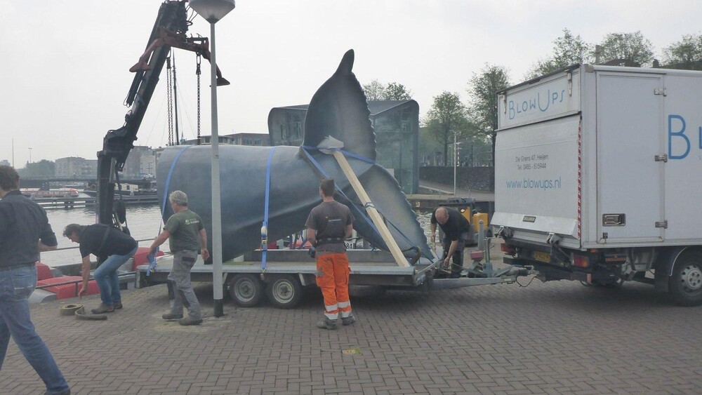 Walvisstaart IJ Amsterdam voor Het Scheepvaartmuseum in Amsterdam. Blowups mocht de staart van de walvis maken en plaatsen. De walvisstaart dient als eyecatcher voor de Walvisweken van Het Scheepvaartmuseum.