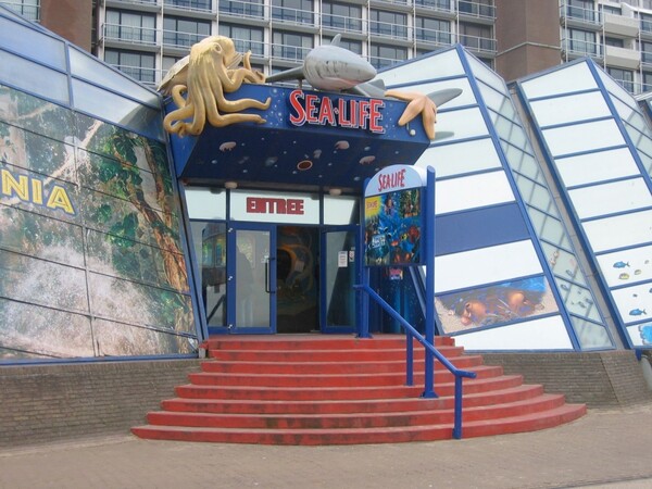 Gevelreclame bij Sealife in Scheveningen. Opvallende merkkracht.