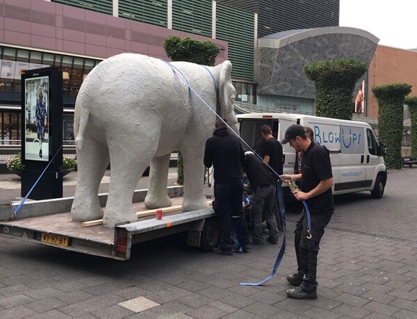 Blowups vervaardigde een polyester olifant voor het Rotterdamse filiaal van Hudson's Bay. De eyecatcher staat op de derde verdieping van het filiaal. Blowups droeg ook zorg voor het transport en de plaatsing van de enorme olifant.