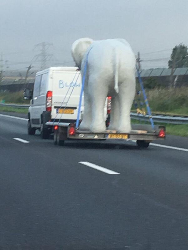 Blowups vervaardigde een polyester olifant voor het Rotterdamse filiaal van Hudson's Bay. De eyecatcher staat op de derde verdieping van het filiaal. Blowups droeg ook zorg voor het transport en de plaatsing van de enorme olifant.