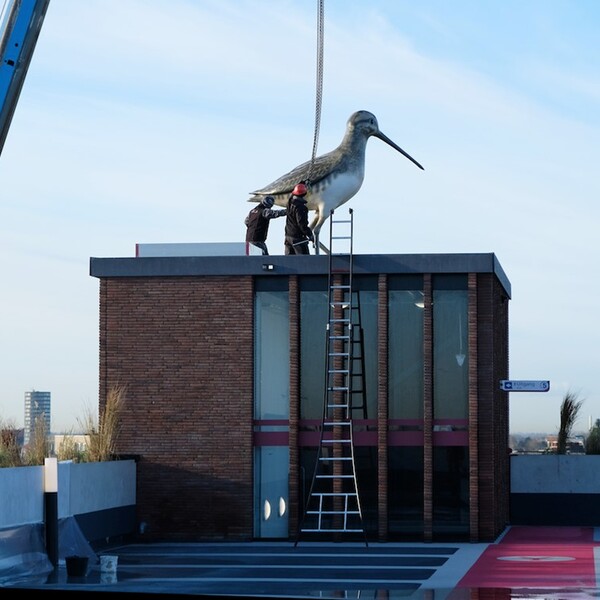 Drie meter hoge vogel in Utrecht