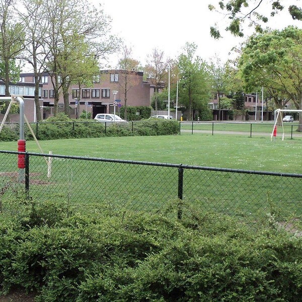 Leonie Martine Janssen Voetbaldoeltjes